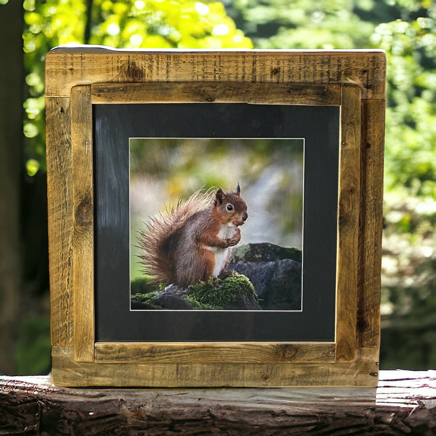 Squirrel’s Nut Joy in Reclaimed Waste Wood Frame.