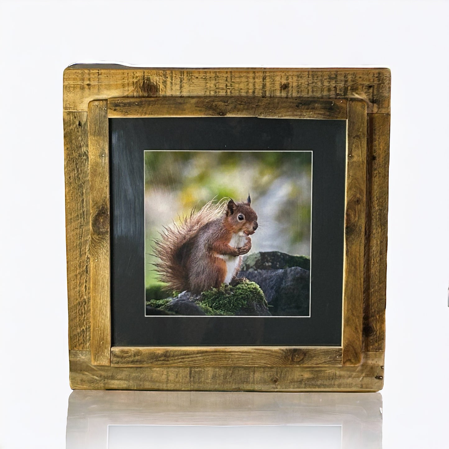 Squirrel’s Nut Joy in Reclaimed Waste Wood Frame.