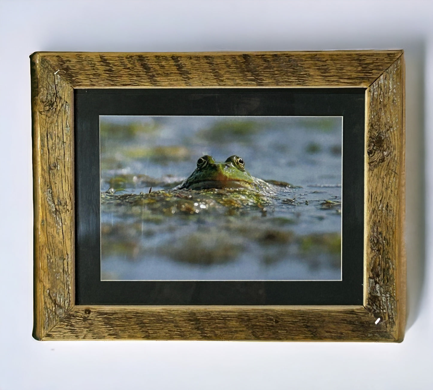 ‘Take a Breath.’ Frog in Water in Stunning Reclaimed Wood Frame.