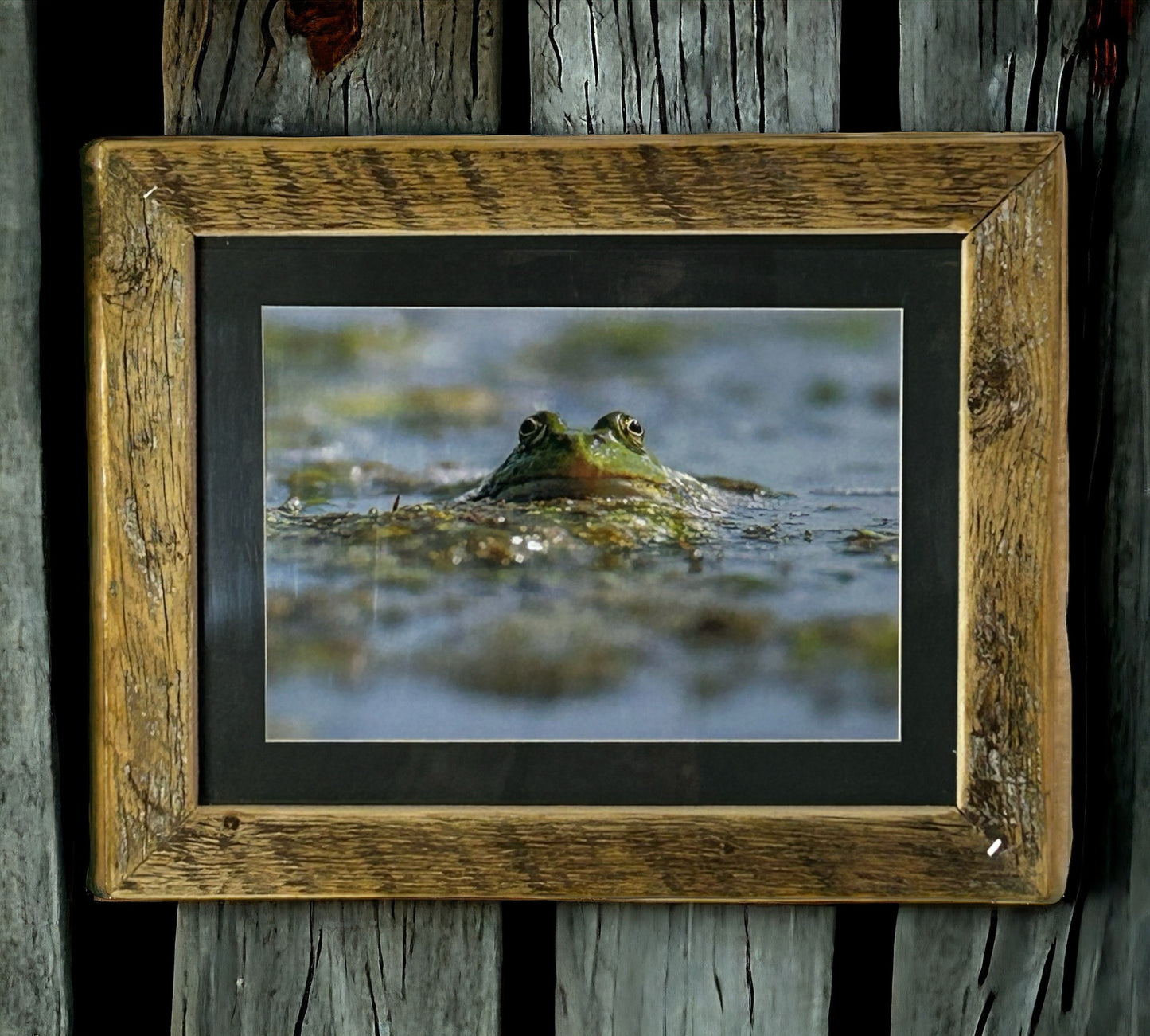 ‘Take a Breath.’ Frog in Water in Stunning Reclaimed Wood Frame.