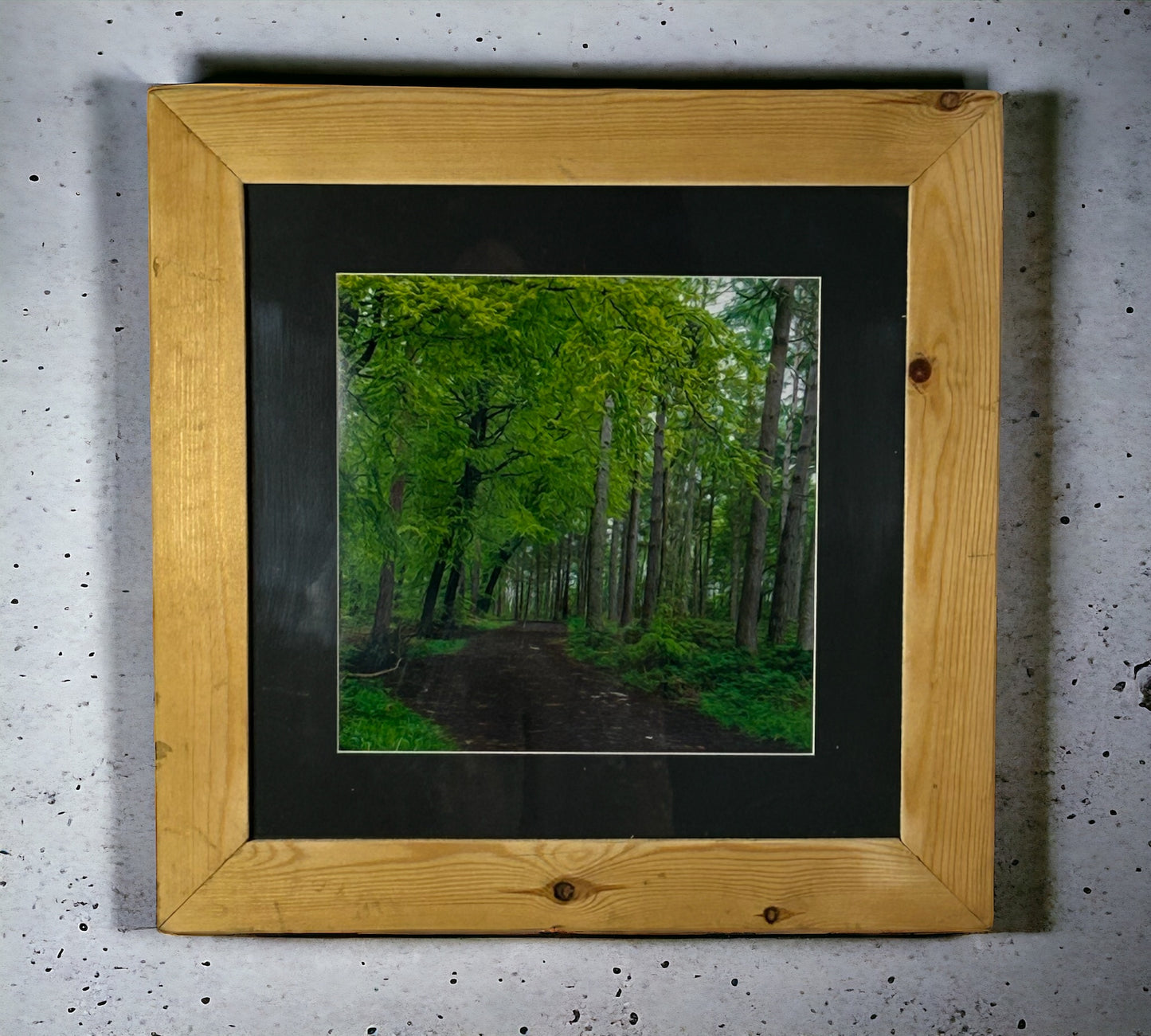 Woodland Growth. Photograph of Stunning Woodland in a Reclaimed Wood Frame.