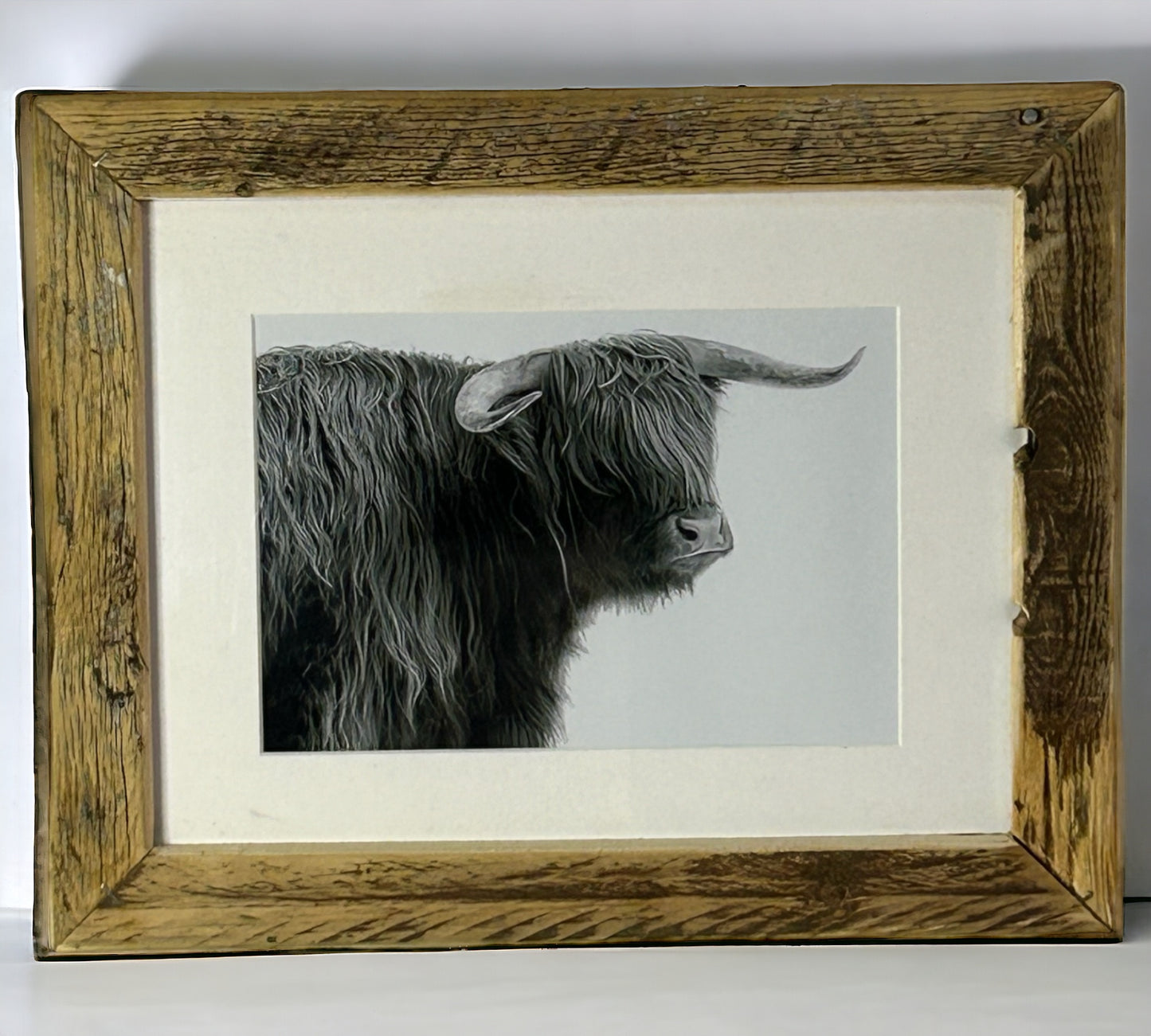 Highland Cow in Black and White Framed in Unique Reclaimed wood.