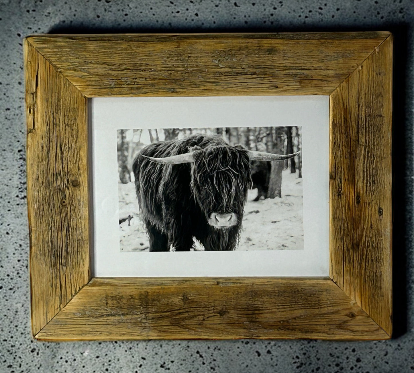 Head On Highland Cow in Black and White Framed With a Beautiful Rustic, Reclaimed Wood Frame.