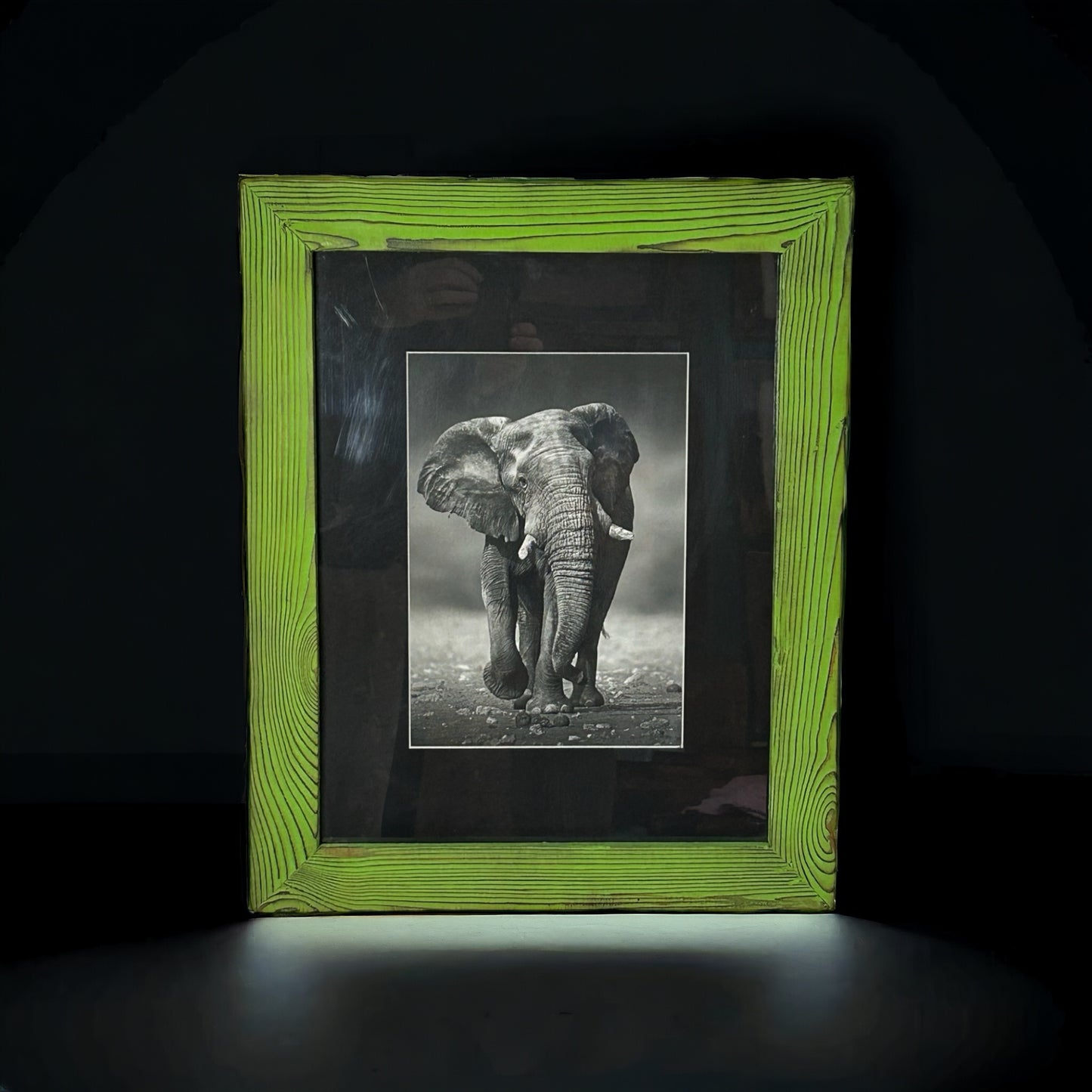 Elephant in Black and White Framed in Green Reclaimed Wood.