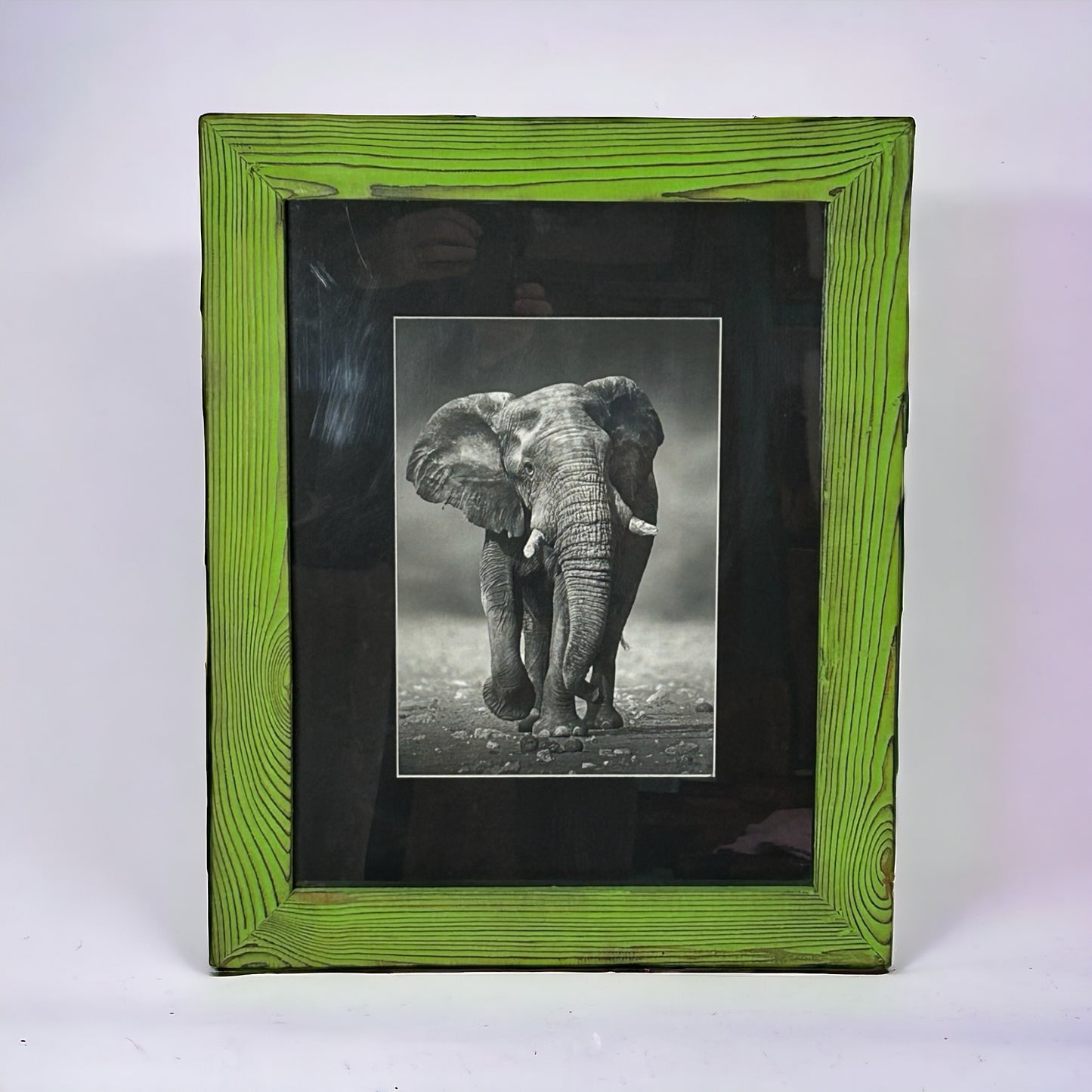 Elephant in Black and White Framed in Green Reclaimed Wood.