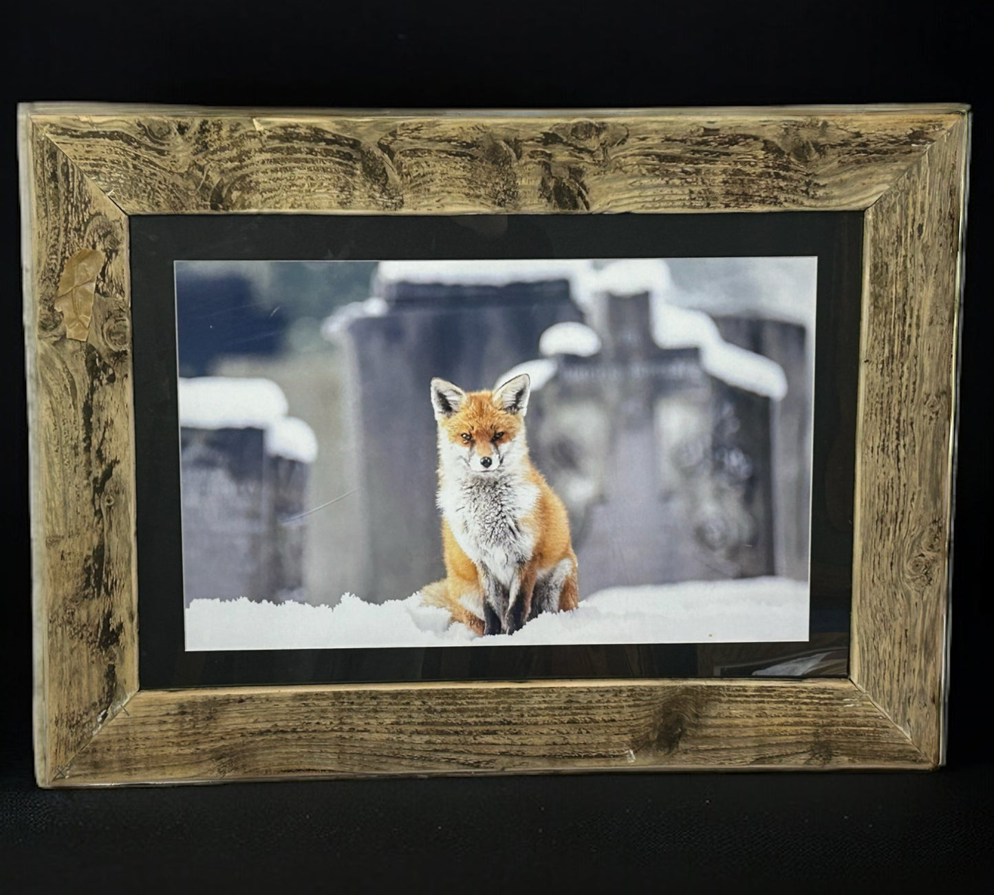 Fox in Snow Framed in Stunning Reclaimed Wood.