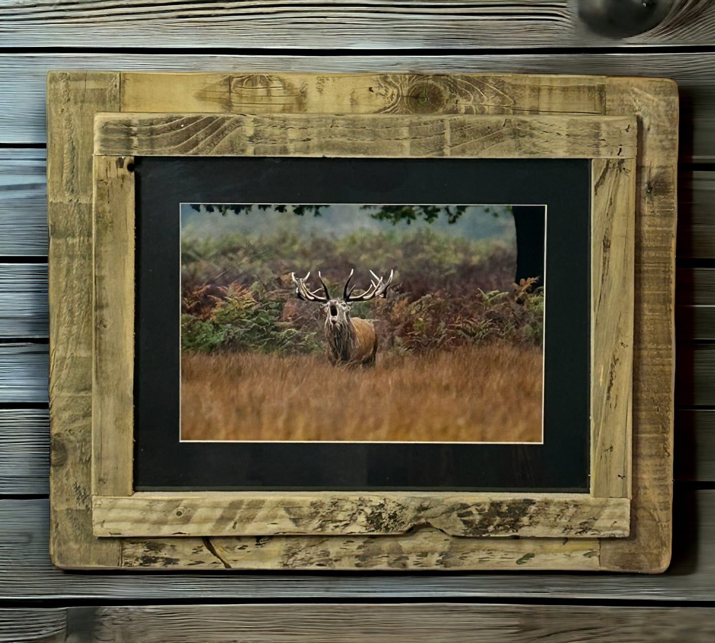 Stag Calling Framed in Reclaimed Wood.