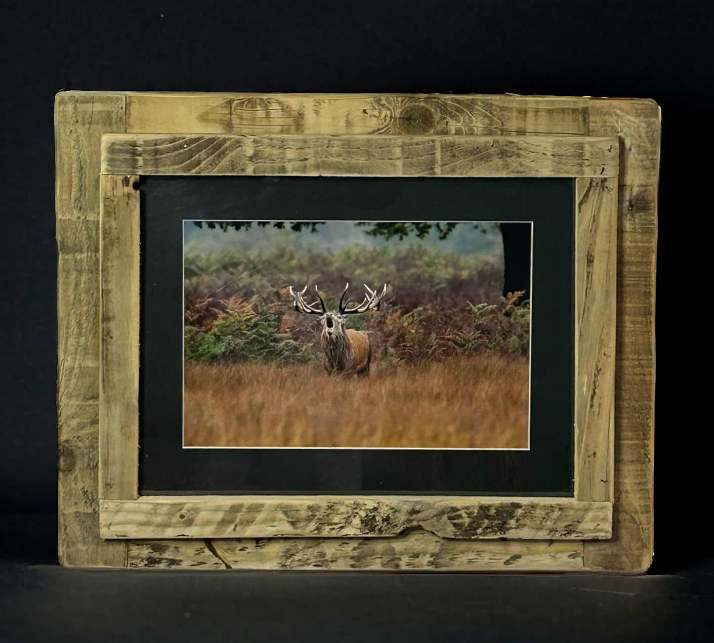 Stag Calling Framed in Reclaimed Wood.
