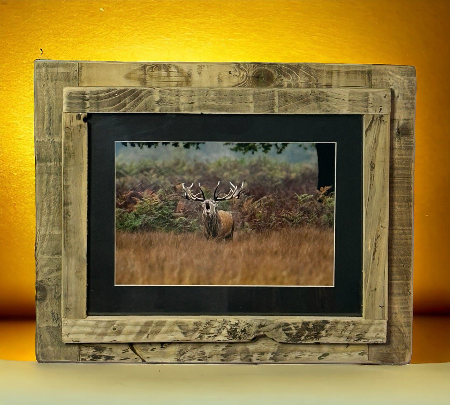 Stag Calling Framed in Reclaimed Wood.