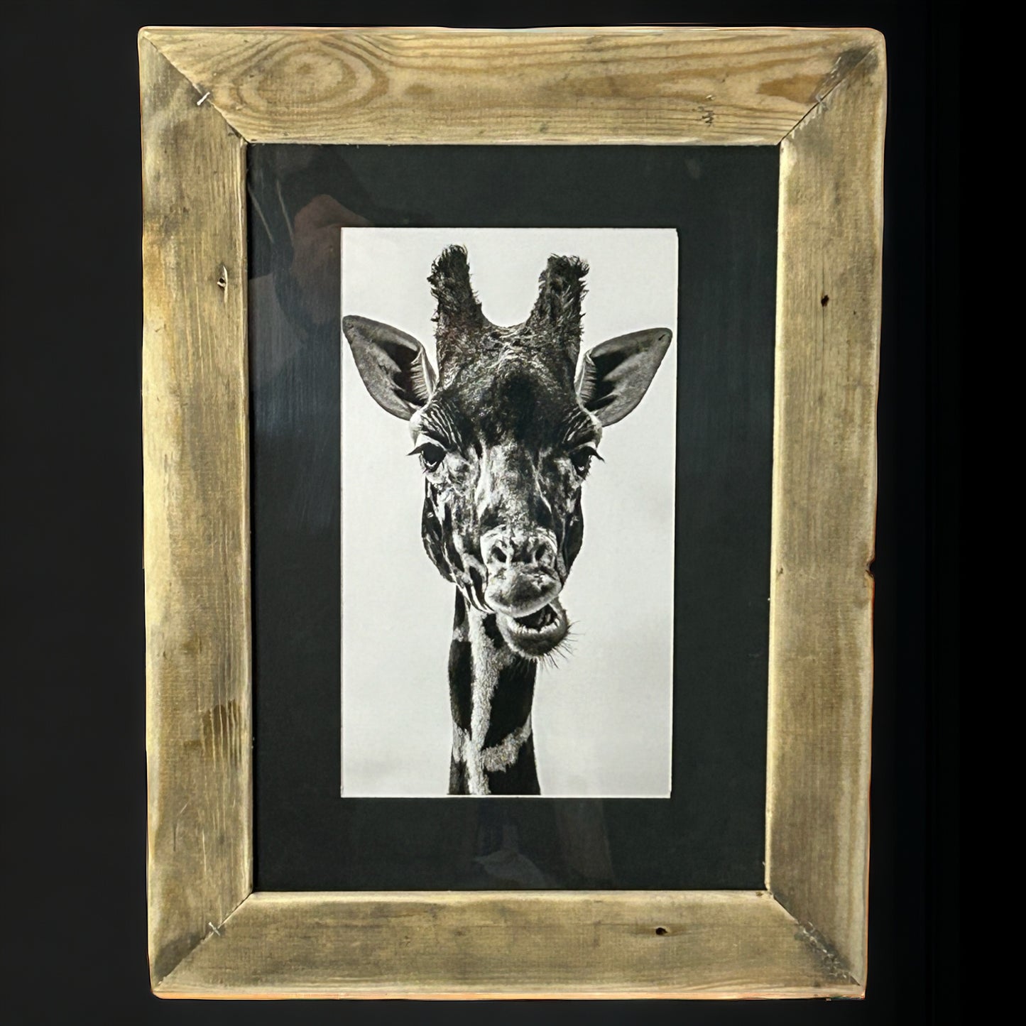B&W Giraffe Image Framed in Reclaimed Wood.