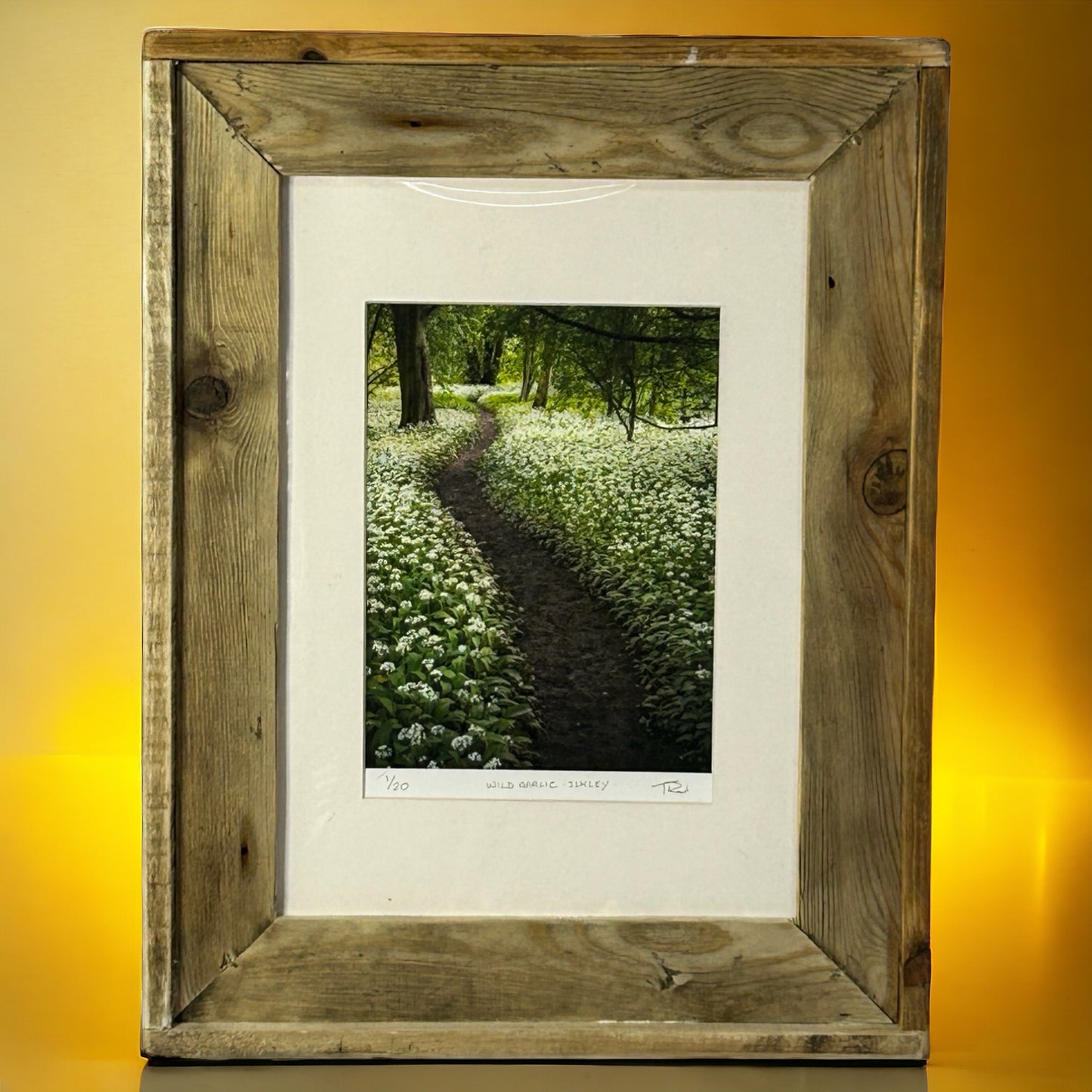 ‘Wild Garlic, Ilkley,’ in a Stunning Reclaimed Wood Frame.