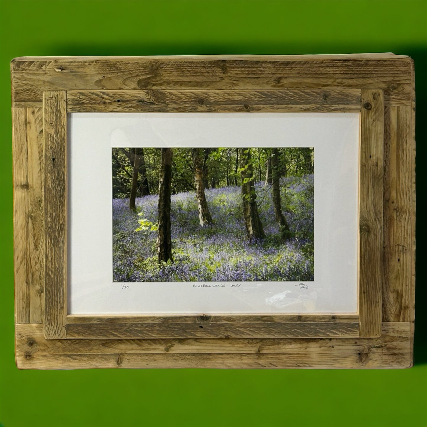 ‘Bluebell Woods in Ilkley,’ framed in Reclaimed Wood.