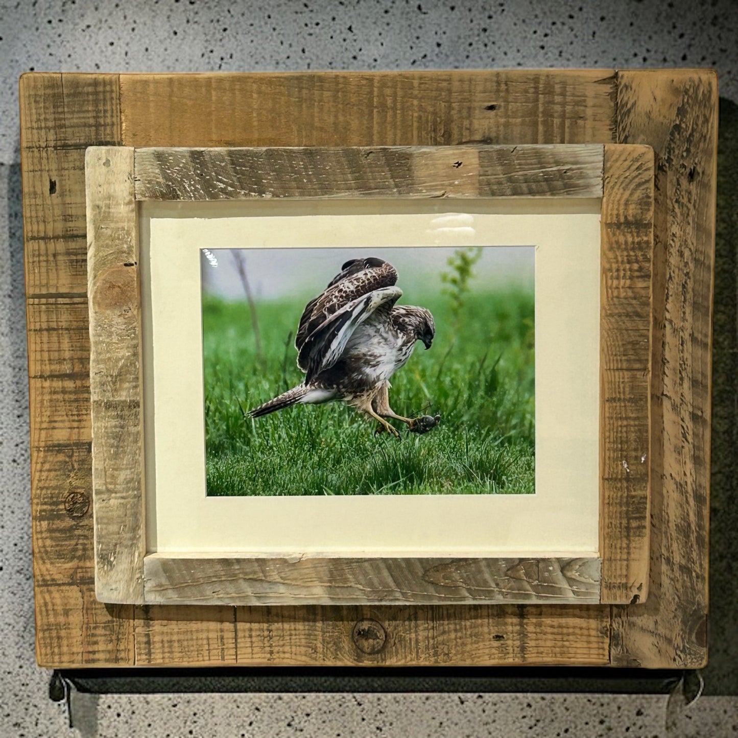 Buzzard’s Breakfast in Reclaimed Wood Frame.