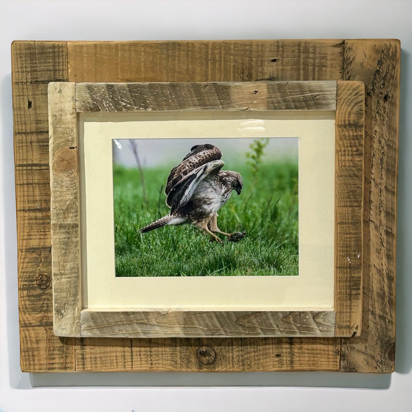 Buzzard’s Breakfast in Reclaimed Wood Frame.