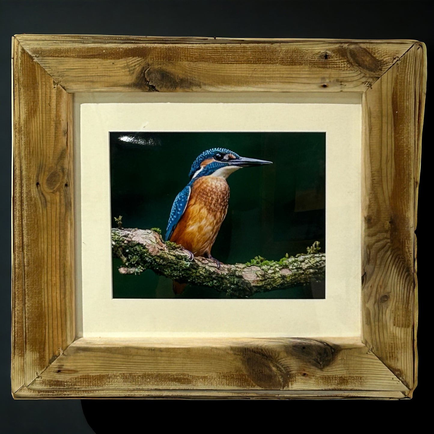 Stunning Kingfisher in a Reclaimed Waste Wood Frame.