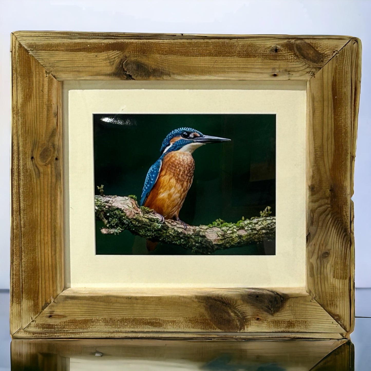 Stunning Kingfisher in a Reclaimed Waste Wood Frame.