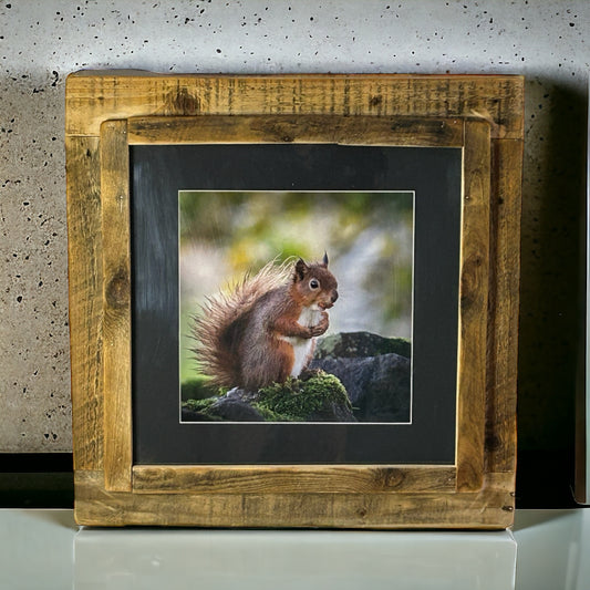 Squirrel eating a nut image in reclaimed wood frame. 