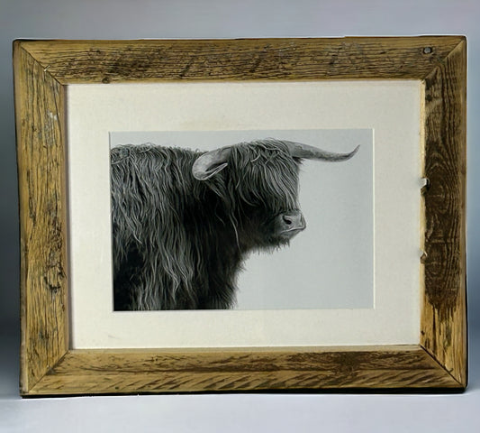 Highland Cow in Black and White Framed in Unique Reclaimed wood. 