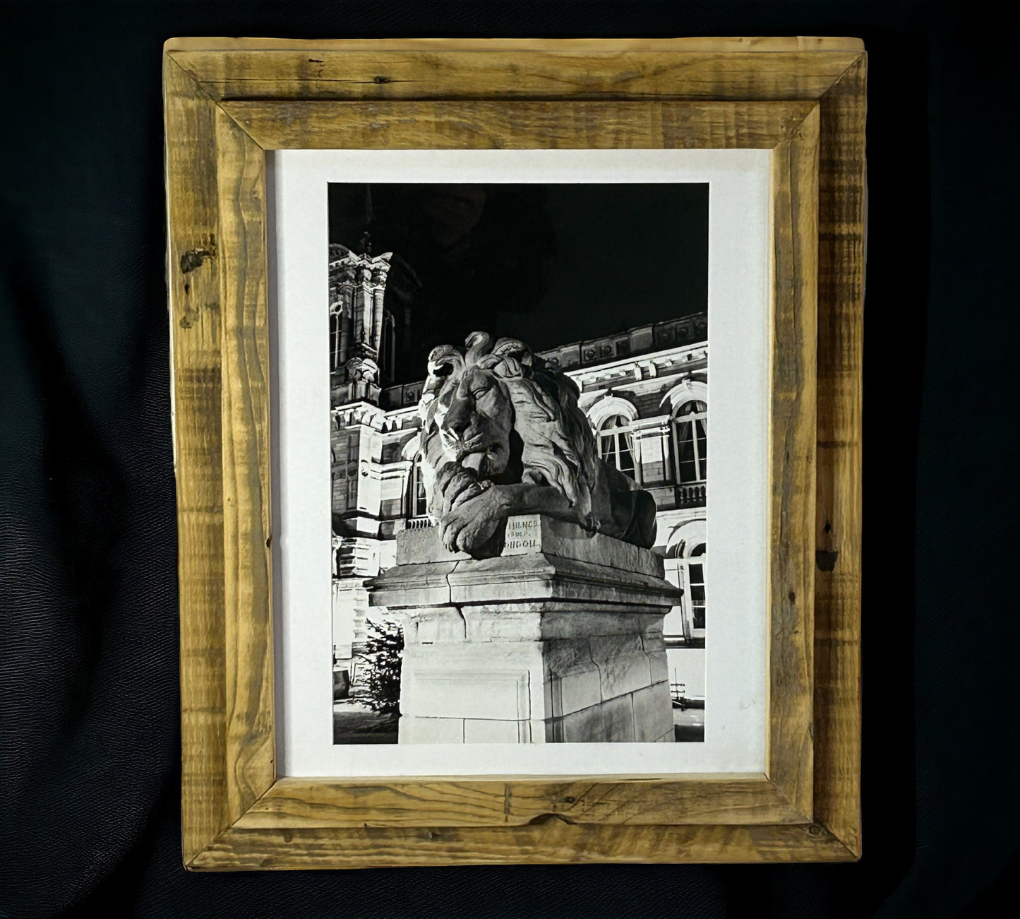 London Lion Statue in Stunning Reclaimed Wood Frame.