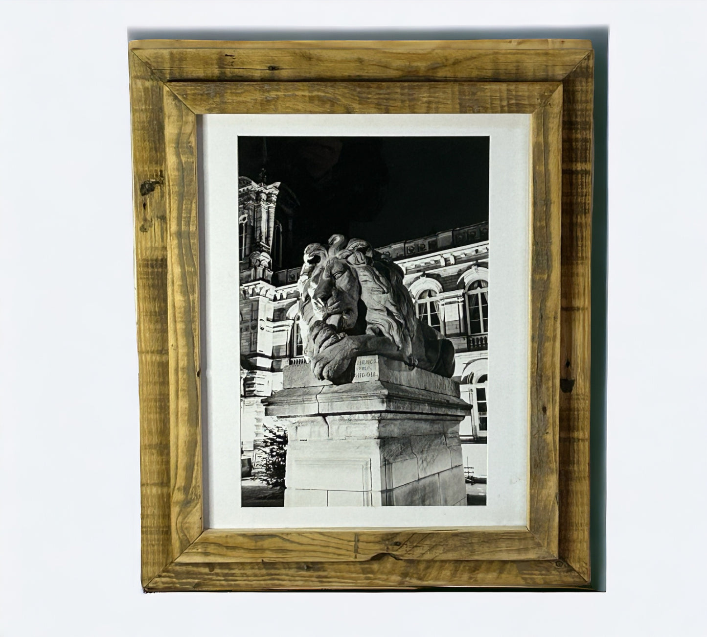 London Lion Statue in Stunning Reclaimed Wood Frame.