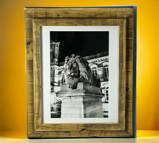 London Lion Statue in Stunning Reclaimed Wood Frame.