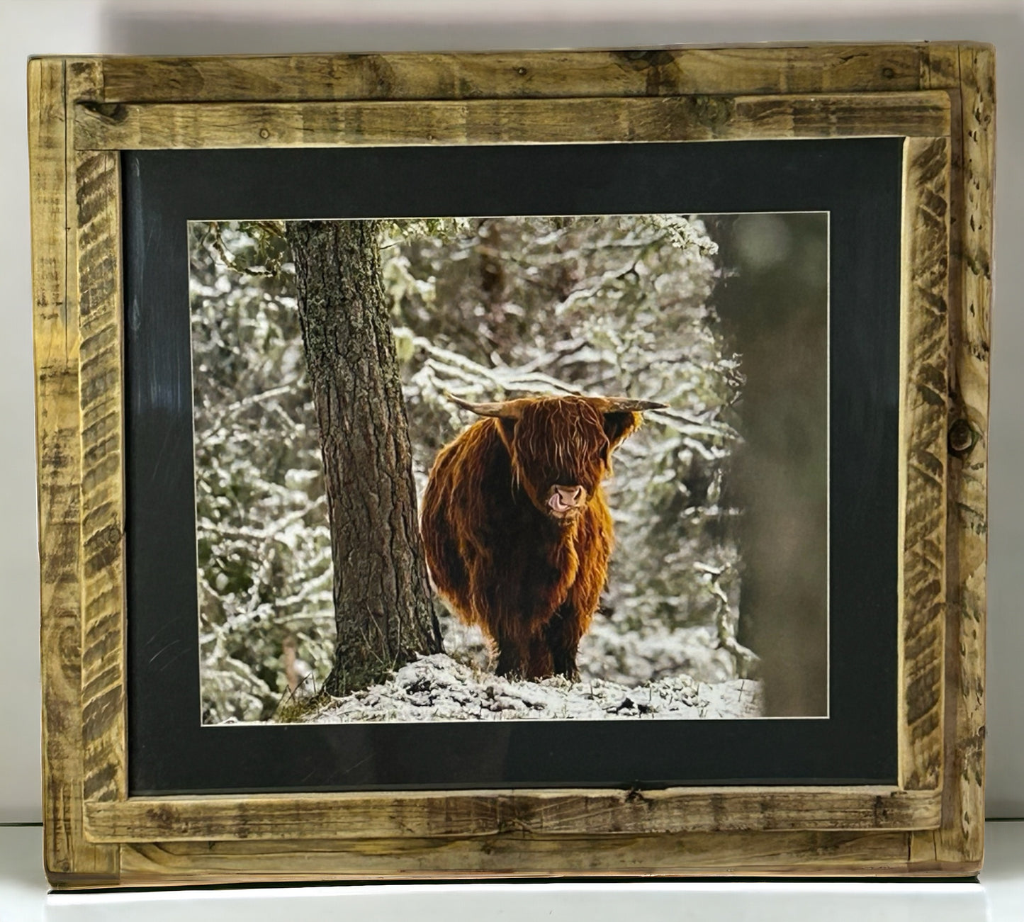 Stunning Highland Cow Image Framed in Weathered Reclaimed Wood Frame.