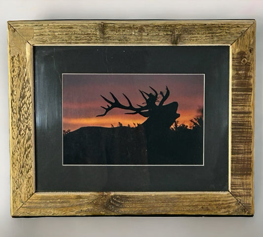 Stag Calling at Dusk in Reclaimed Wood Frame.