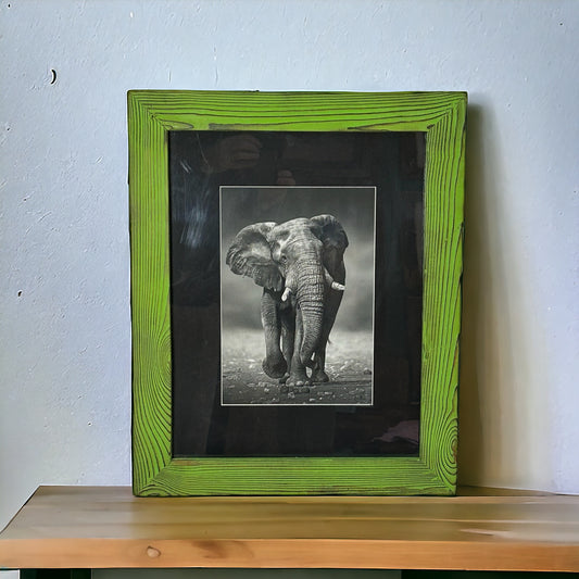 Elephant in Black and White Framed in Green Reclaimed Wood. 