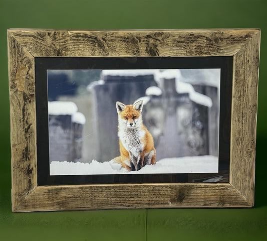 Fox in Snow Framed in Stunning Reclaimed Wood. 