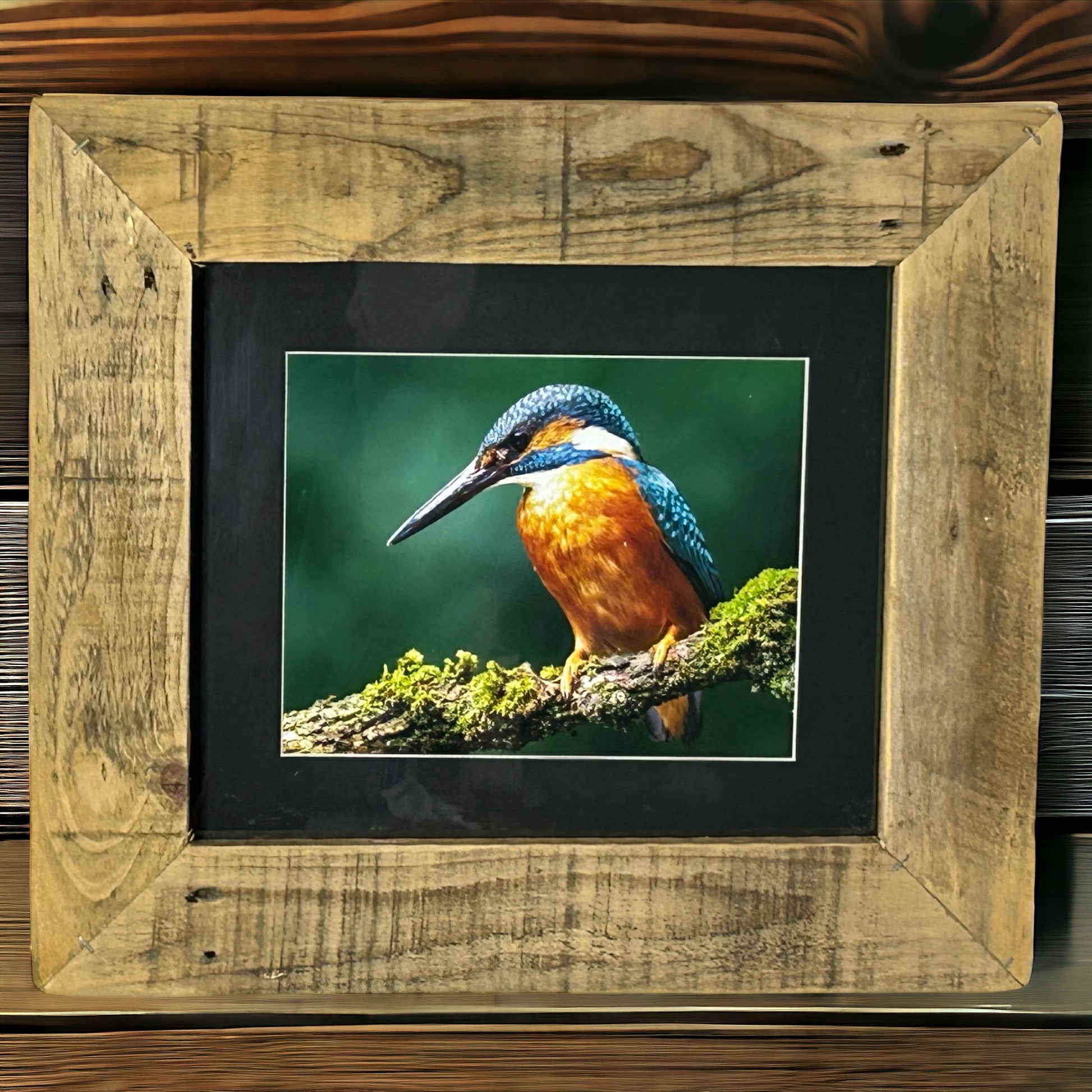 Stunning Kingfisher Image Framed in Reclaimed Wood. 