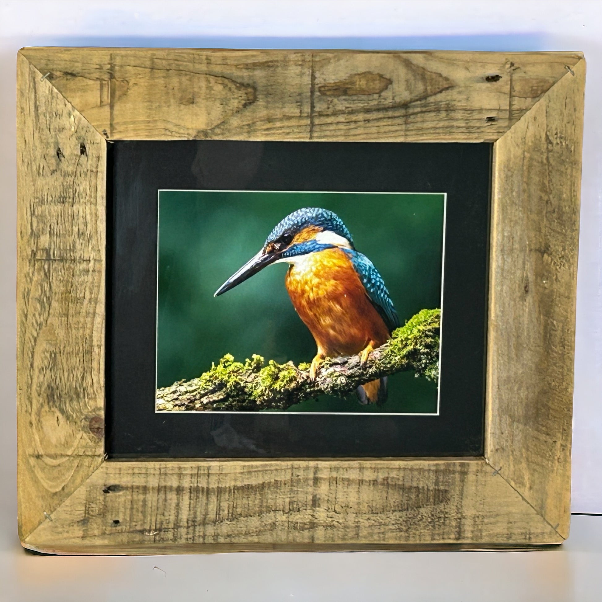 Stunning Kingfisher Image Framed in Reclaimed Wood. 