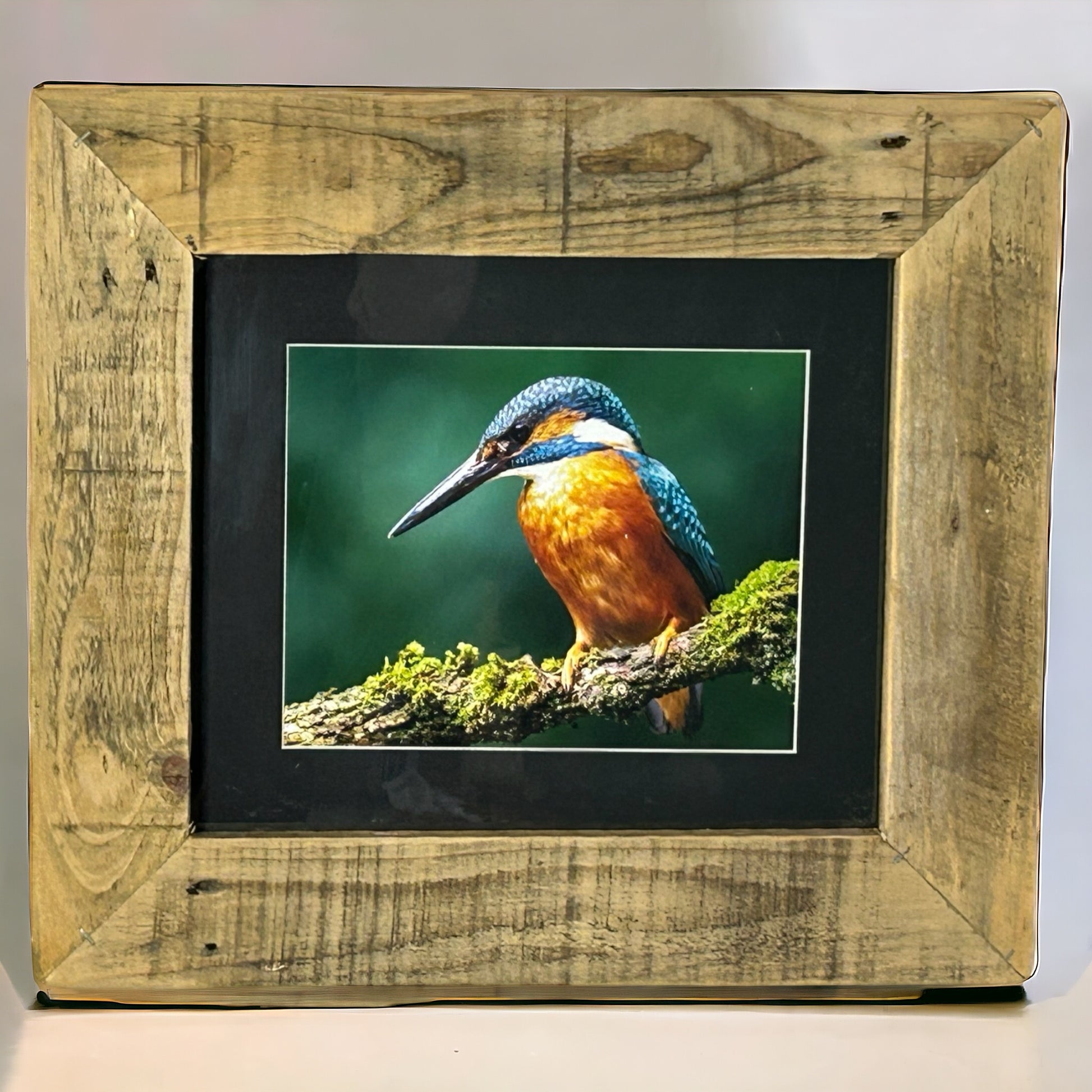 Stunning Kingfisher Image Framed in Reclaimed Wood. 