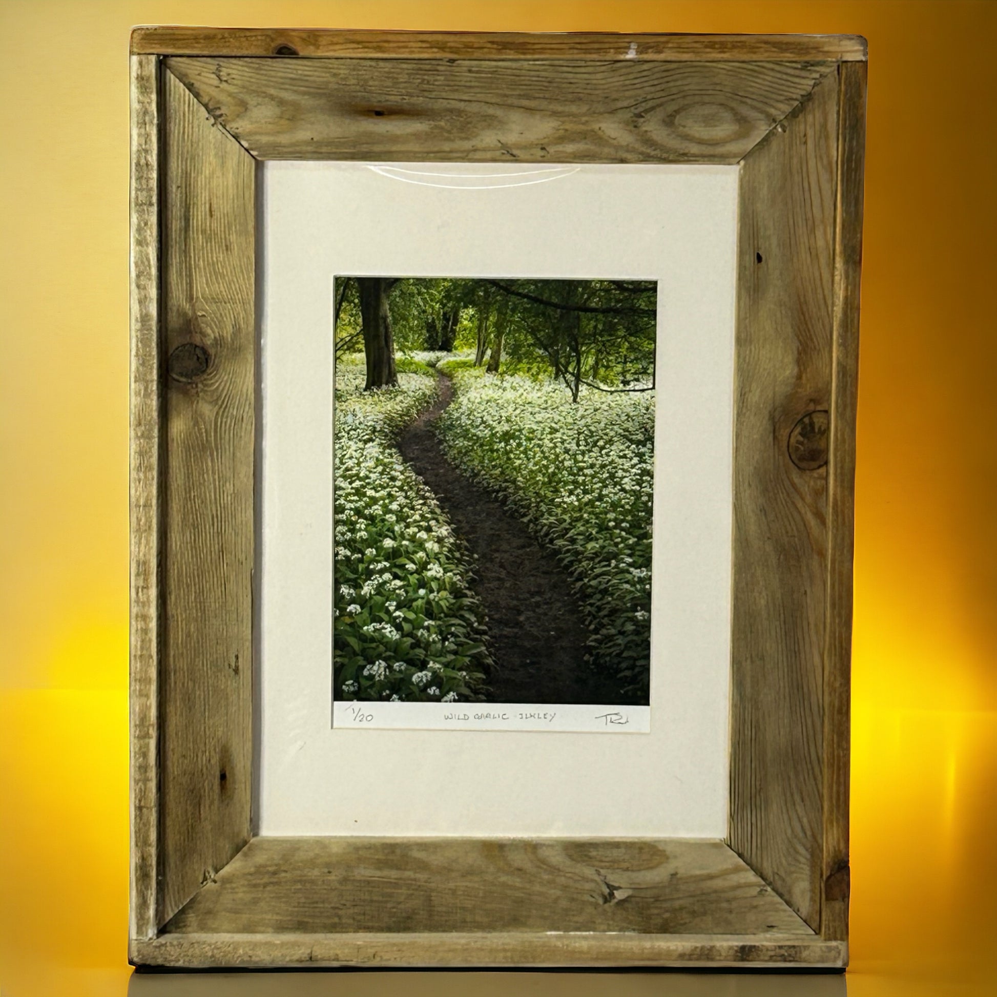 ‘Wild Garlic, Ilkley,’ in a Stunning Reclaimed Wood Frame. 