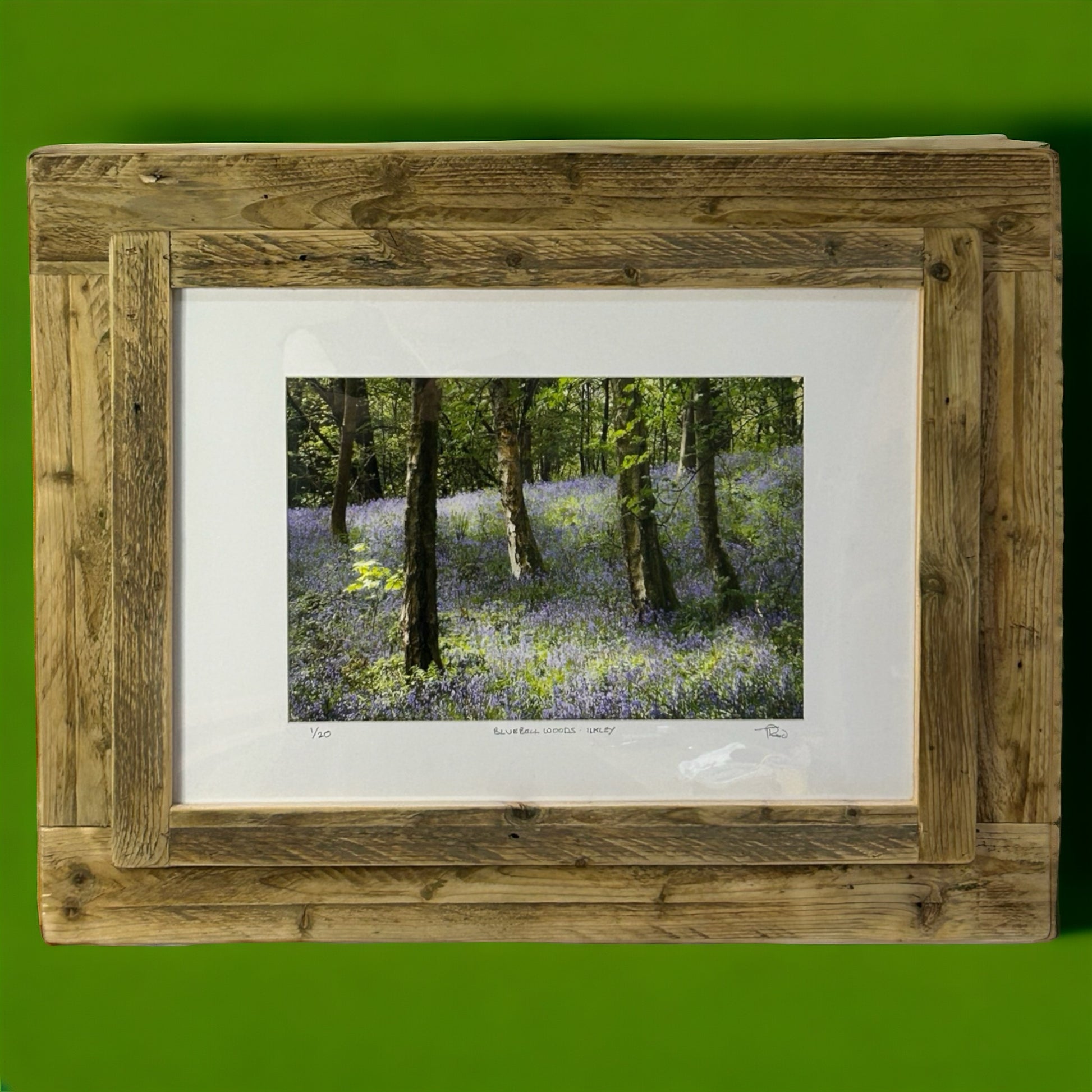 ‘Bluebell Woods in Ilkley,’ framed in Reclaimed Wood. 