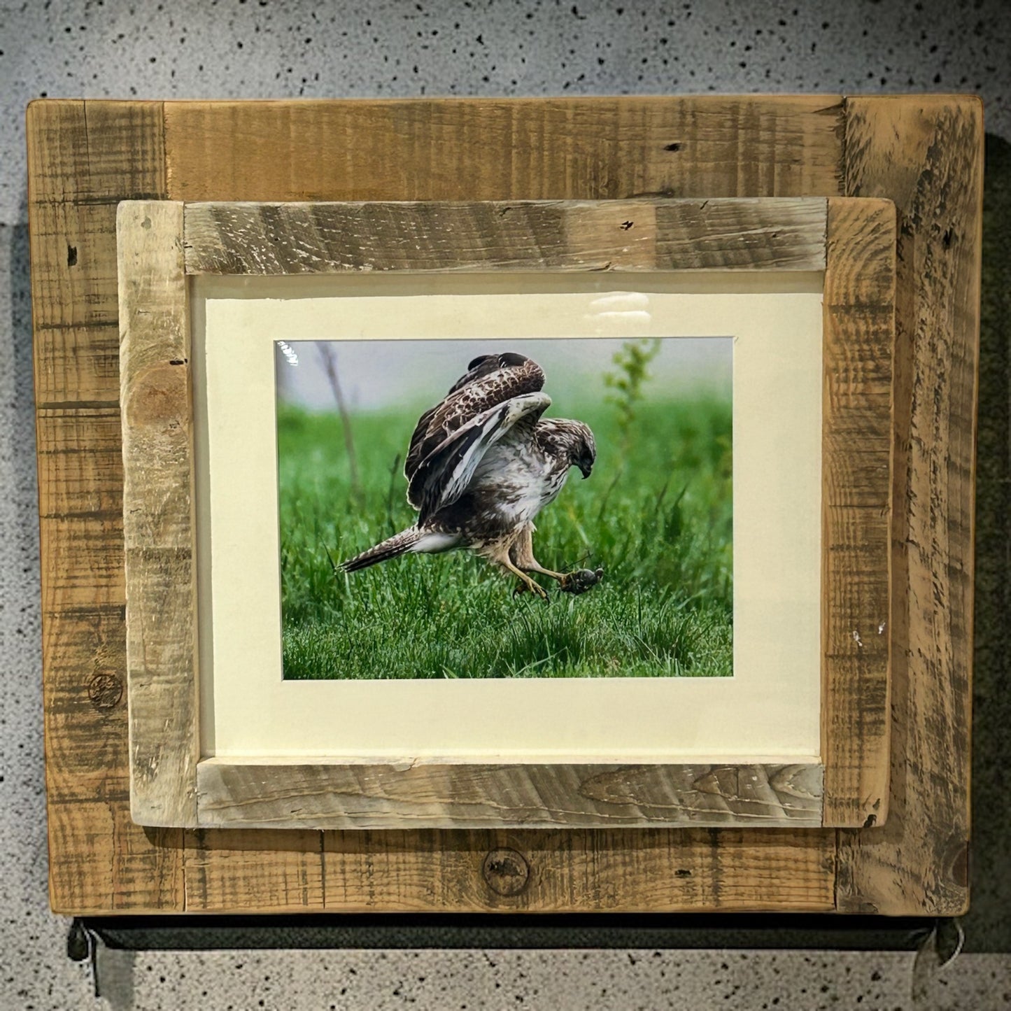 Buzzard’s Breakfast in Reclaimed Wood Frame. 