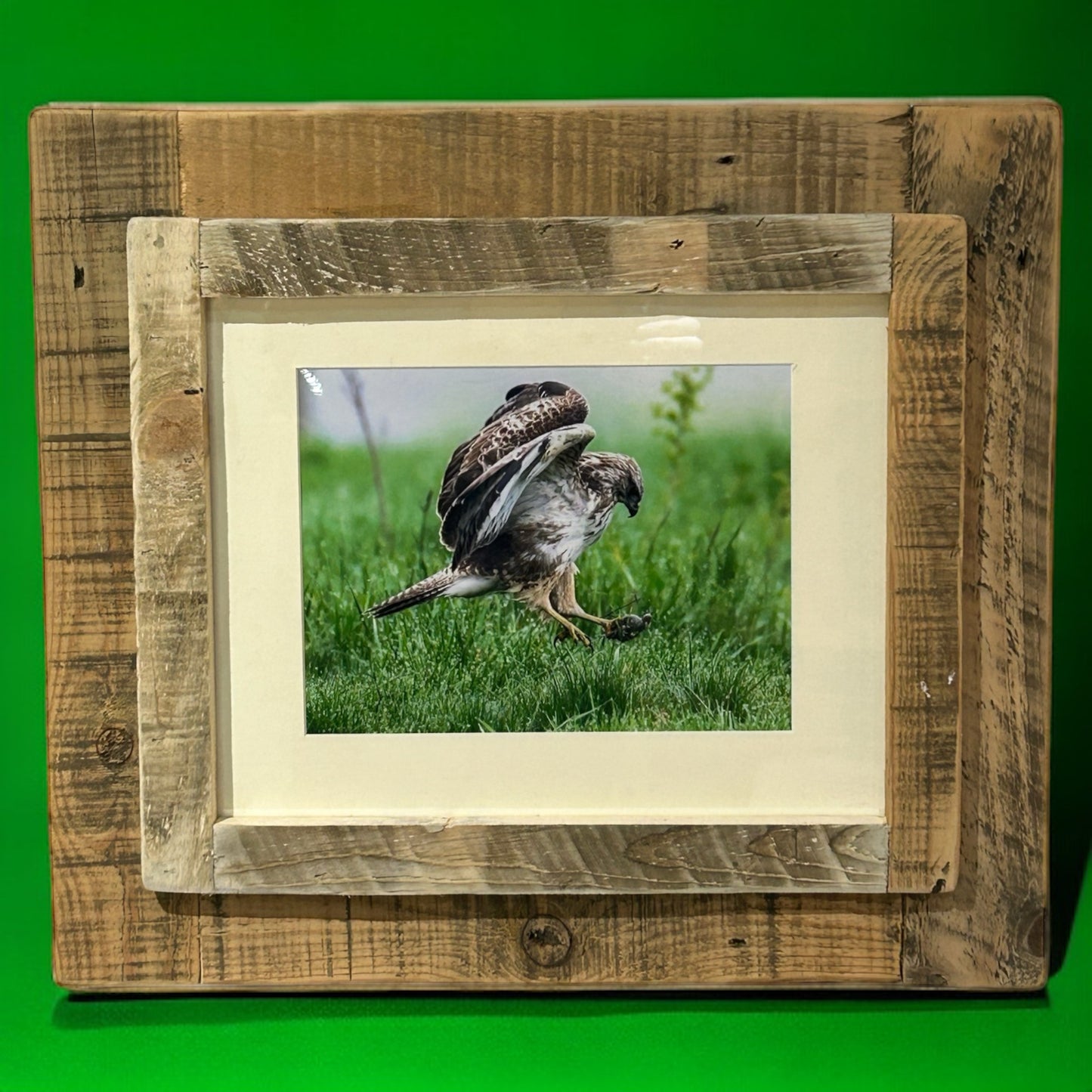 Buzzard’s Breakfast in Reclaimed Wood Frame. 