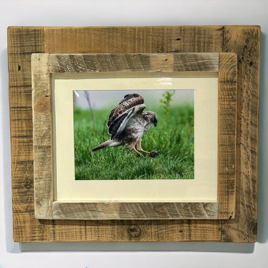 Buzzard’s Breakfast in Reclaimed Wood Frame. 