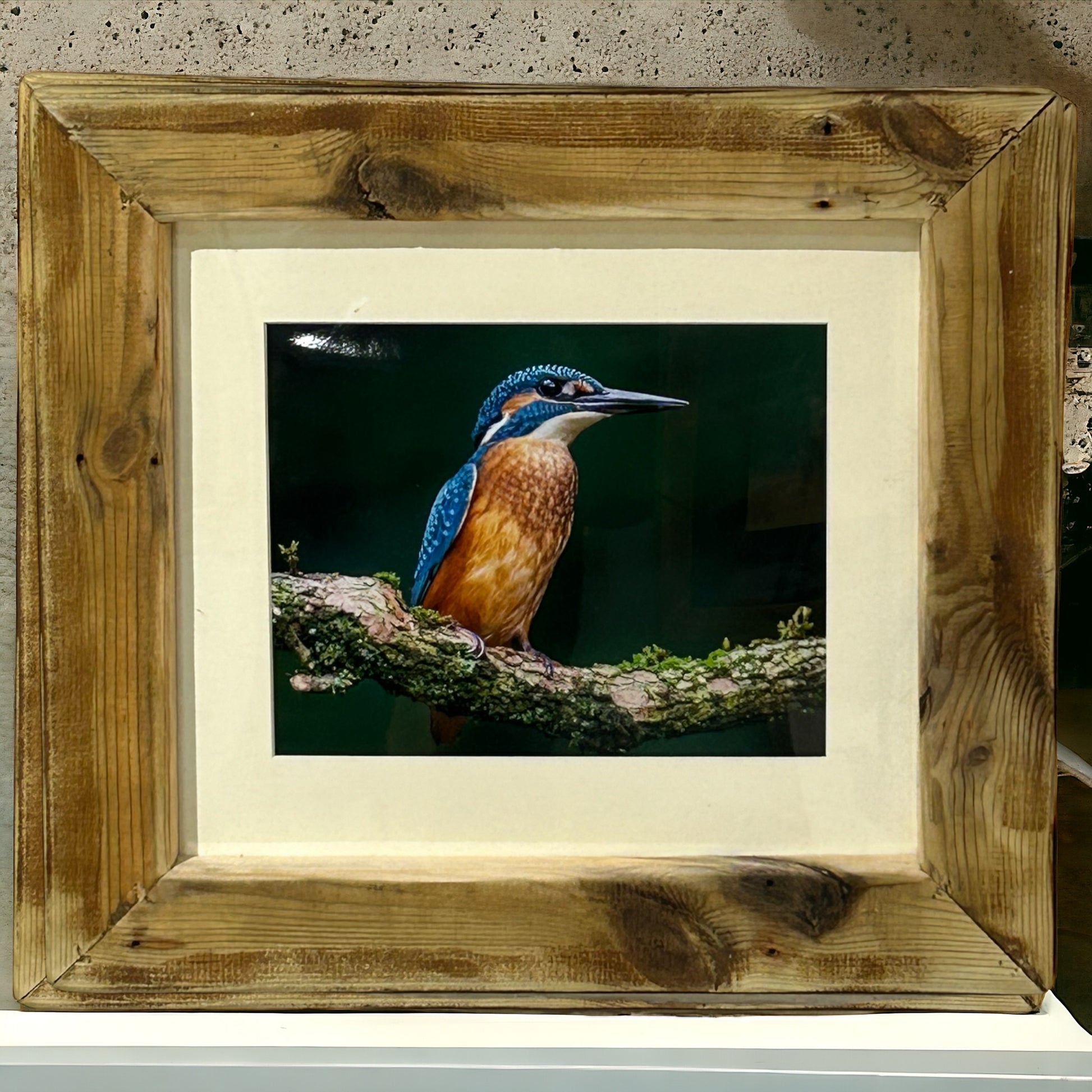 Stunning Kingfisher in a Reclaimed Waste Wood Frame. 