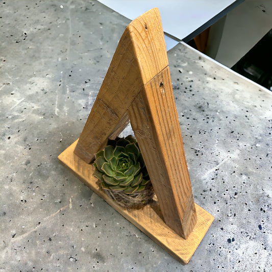 Triangular Reclaimed Waste Wood Kokedama Holder. 