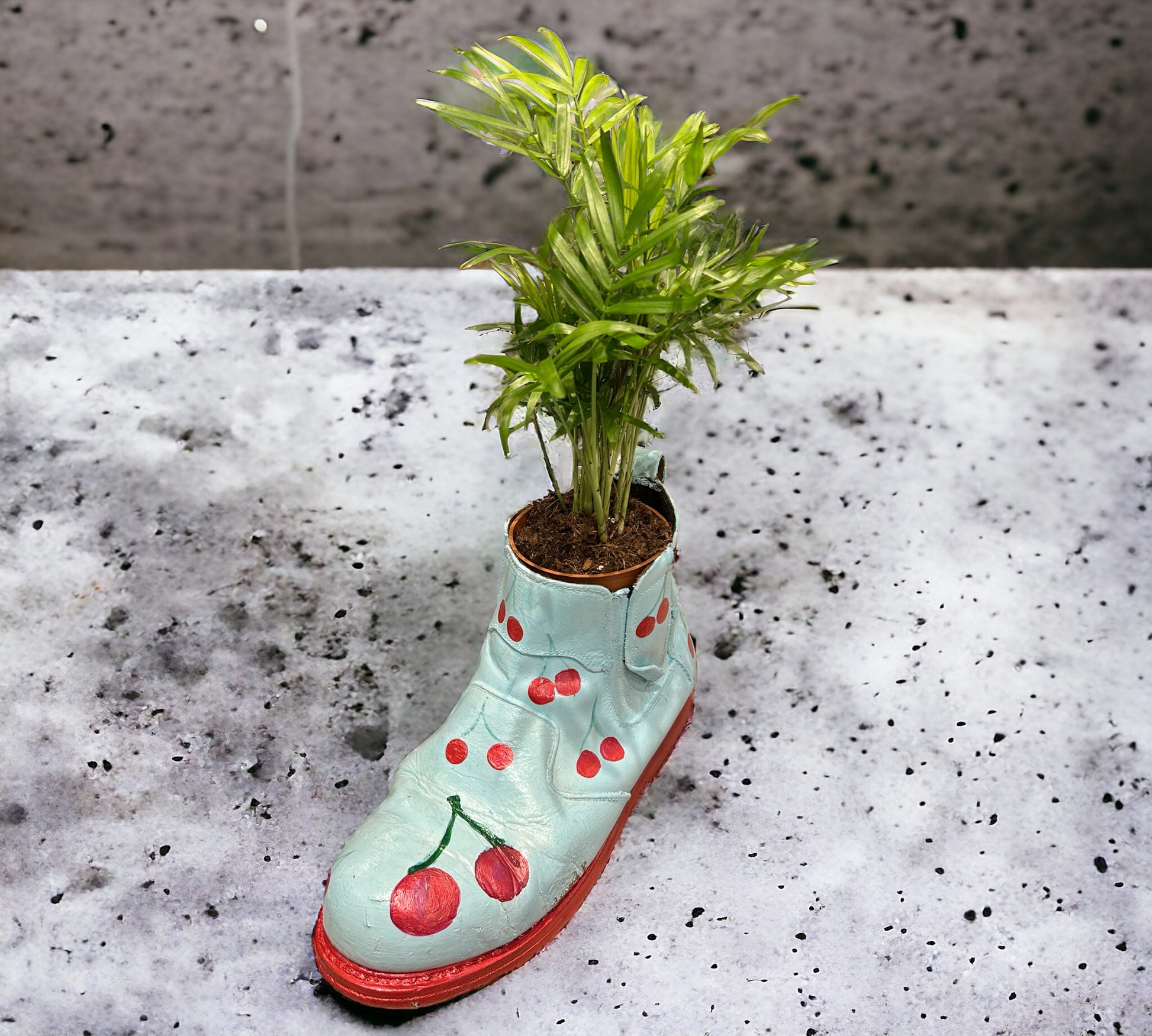 Phlower Hand Painted Boot ( plant not included ) 