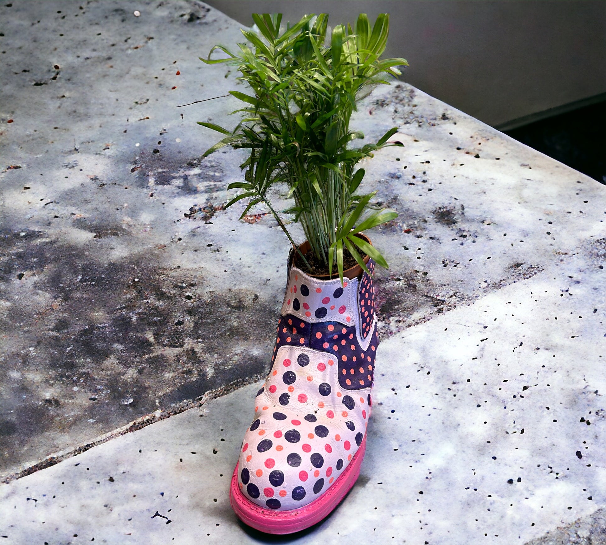 Phlowers Dotty Hand Painted Flower Boot ( Plant not included) 